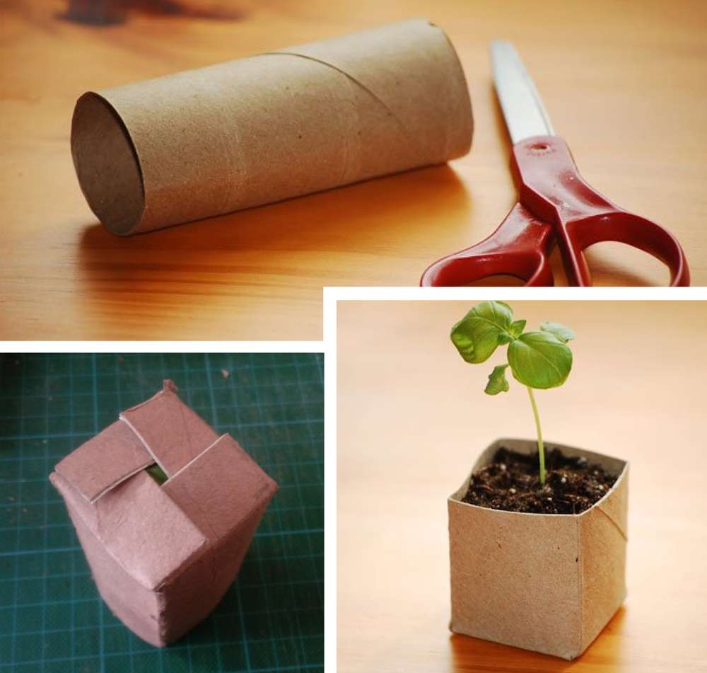 Toilet paper roll tube seed starter